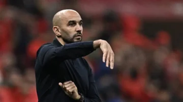 تصريح قوي وليد الركراكي يطالب بتغيير العقلية في كرة إفريقيا